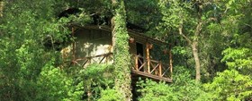 Ayar Jungle Resort