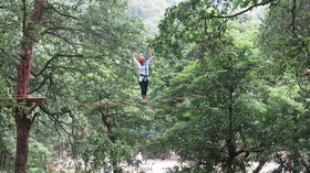 Ayar Jungle Resort