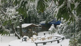Ayar Jungle Resort