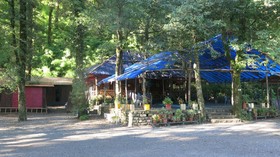Ayar Jungle Resort