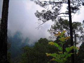Country Inn Sattal