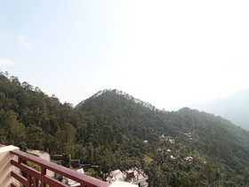 Green Roof Hotel And Resorts