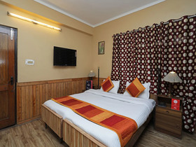 Hotel Ankur Plaza Deluxe by OYO Rooms