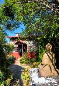 Jungle Lore Birding Lodge