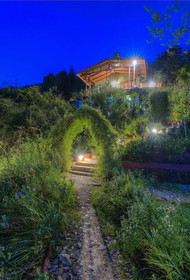 Jungle Lore Birding Lodge
