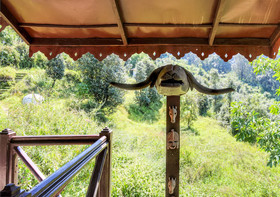Jungle Lore Birding Lodge