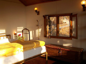 Jungle Lore Birding Lodge