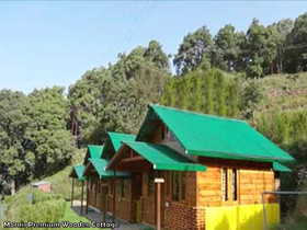 Mornis Wood Paradise