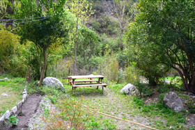 Nainital River Camp