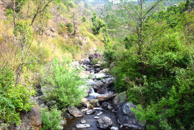 Nainital River Camp