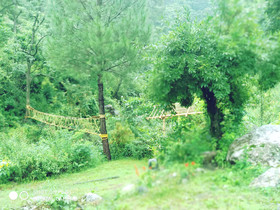 Nainital River Camp