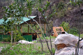 Nainital River Camp