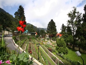Shervani Hilltop