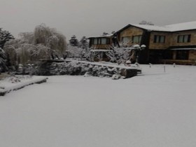 Shervani Hilltop