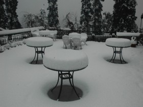 Shervani Hilltop
