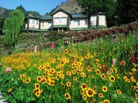 Shervani Hilltop