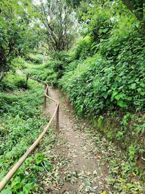 Sunbird Retreat Resort