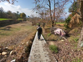 Tree of Life Junoon in the Hills, Kumaon