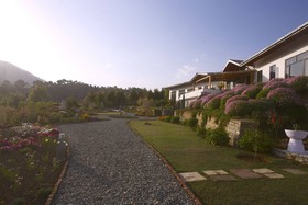 Tree of Life Junoon in the Hills, Kumaon