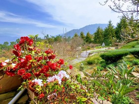 Tree of Life Junoon in the Hills, Kumaon