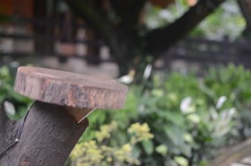 Amritara Tuskar's Riverside