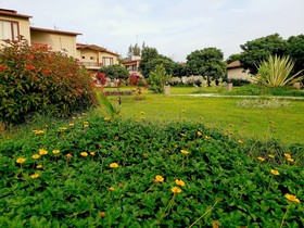 Alaya Resorts & Spa Corbett