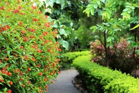 Alaya Resorts & Spa Corbett