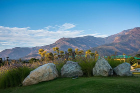 Corbett The Baagh Spa & Resort