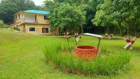 Corbett Tiger Tejomaya Resort