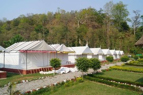 Jungle Eco Resort