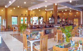 The Banyan Retreat