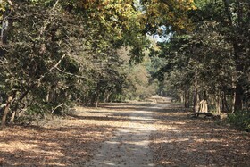 Voco Jim Corbett
