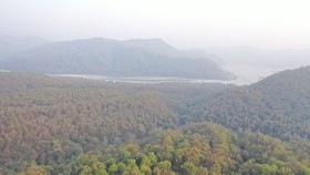 Qcent Corbett Green
