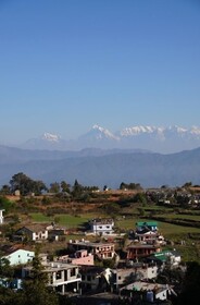 The Dharmas Resort