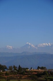 The Dharmas Resort