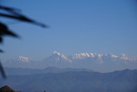 The Dharmas Resort