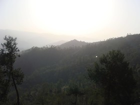 Woodsvilla Residency