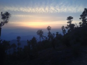 Woodsvilla Resort