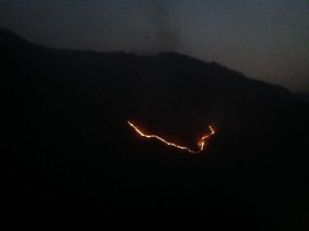 Woodsvilla Resort