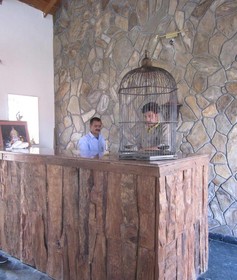 Woodsvilla Resort