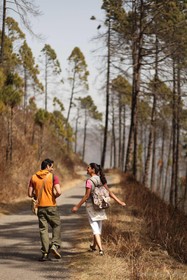 Ananda in the Himalayas