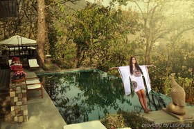 Ananda in the Himalayas