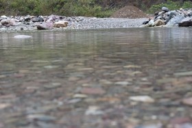 Camp Awara Rishikesh