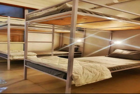Flying Penguin Hostel