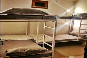 Flying Penguin Hostel