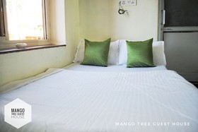 Mango Tree Guest House