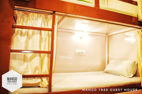 Mango Tree Guest House