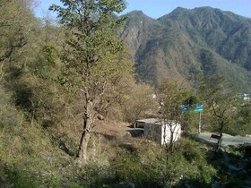 Rishikesh Sadan