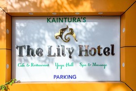 The Lily