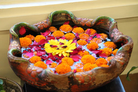 Yog Niketan By Sanskriti